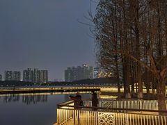 -月湖风景区