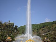 -西双版纳原始森林公园