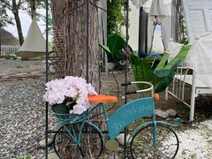 -安德鲁户外烧烤帐篷营地(马泉营店)