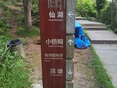 -梧桐山风景名胜区