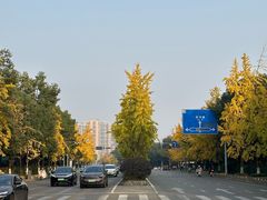 -成都南湖公园