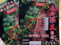 -长谷洞天