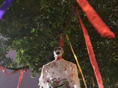 -南湖梦幻岛