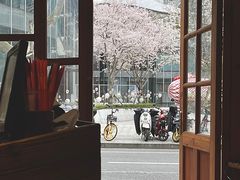 -红猪卤肉饭(大西洋美食城店)