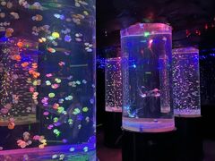 -邯郸海洋世界