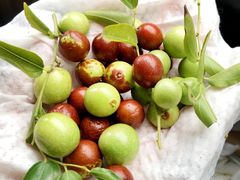 -华豫川酒家(双子塔店)