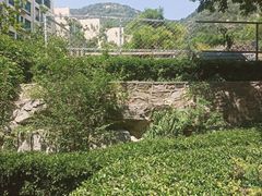 -泰安东尊华美达广场酒店(泰山景区店)