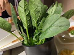 -海底捞火锅(番禺广场店)