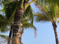 -富国岛翡翠湾 JW 万豪度假酒店