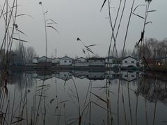 -白洋淀景区
