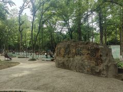 -赭山公园