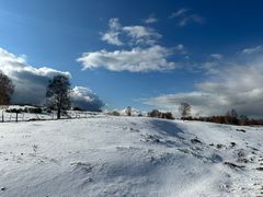 -塞罕坝国家级自然保护区