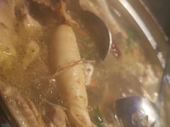 -千岛蚝高压锅生蚝·人参火锅(白云万达店)