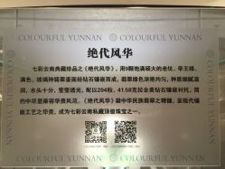 -北京七彩云南翡翠珠宝旗舰店(月坛店)