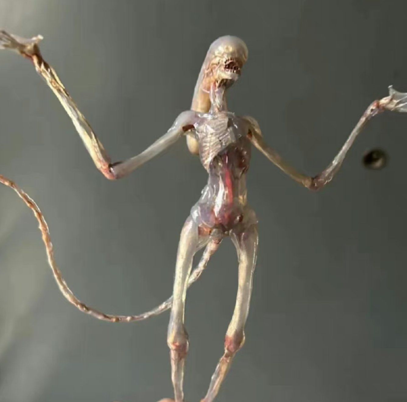 不懂就问,外星人后脑勺那么长. 会不会脑容量