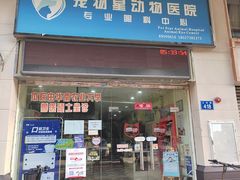 -宠物星动物医院·眼科·异宠·猫科(江南大道总院)