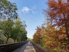 -昆山城市生态森林公园