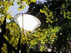 -八大关景区