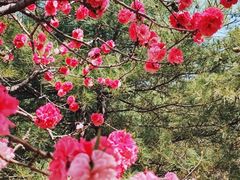 -北京植物园南门售票处