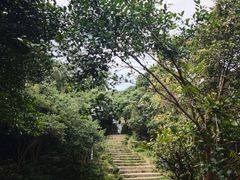 -大姆山草场