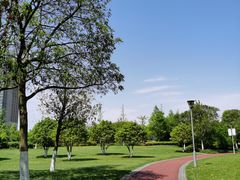 -院士公园