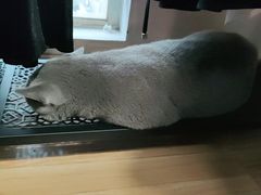 -壹人壹像工作室(购物公园店)