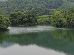 -龙坞茶村