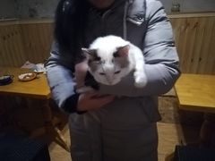 -猫色咖啡·猫咖