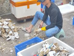 -濠轩阁特色生蚝火锅总店