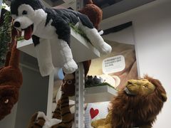 -宜家家居(哈尔滨商场店)