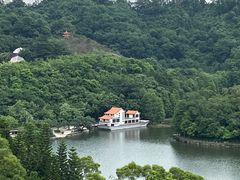 -深圳仙湖植物园