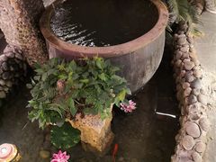 -三道苗苗鱼·美蛙黄辣丁(八里店)