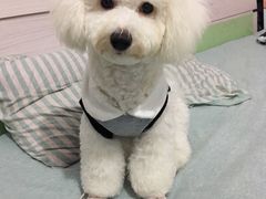 -佳雯宠物医院(四明中路分院)