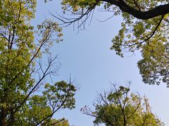 -洋湖国家湿地公园
