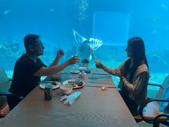 -涛·海底餐厅·美人鱼·自助餐·海底隧道(三亚海棠湾洲际度假酒店)