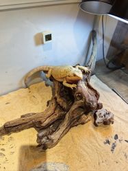 -Zoolung Zoolung动物主题公园(海信广场店)