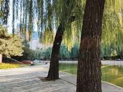 -团结湖公园