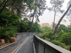 -临平公园(临平街道)