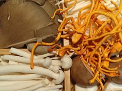 -草原塞蛮羊火锅城(港湾店)