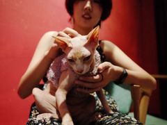 -猫色咖啡·猫咖