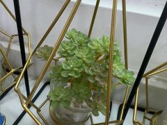 -雅德嘉口腔(时雨园店)