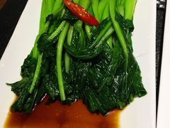 -梧桐餐厅(泉城路店)