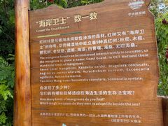 游乐设施-华侨城湿地公园