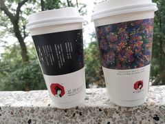 -茶颜悦色(岳麓山顶店)