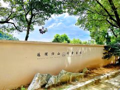 -南山植物园