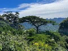 -圣莲山风景区