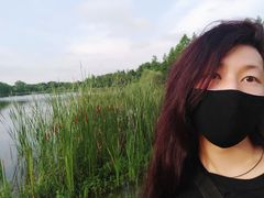 -东平国家森林公园
