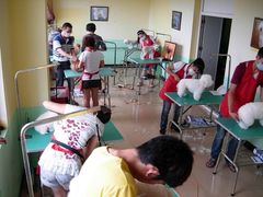 -优缇多格专业宠物美容师培训学校