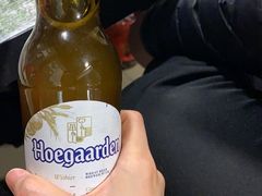 -疯狂烤翅(龙之梦大都汇酒店店)