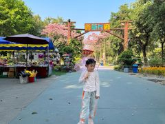-广东花都香草世界旅游度假区